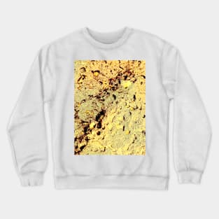 Golden Glaze Crewneck Sweatshirt